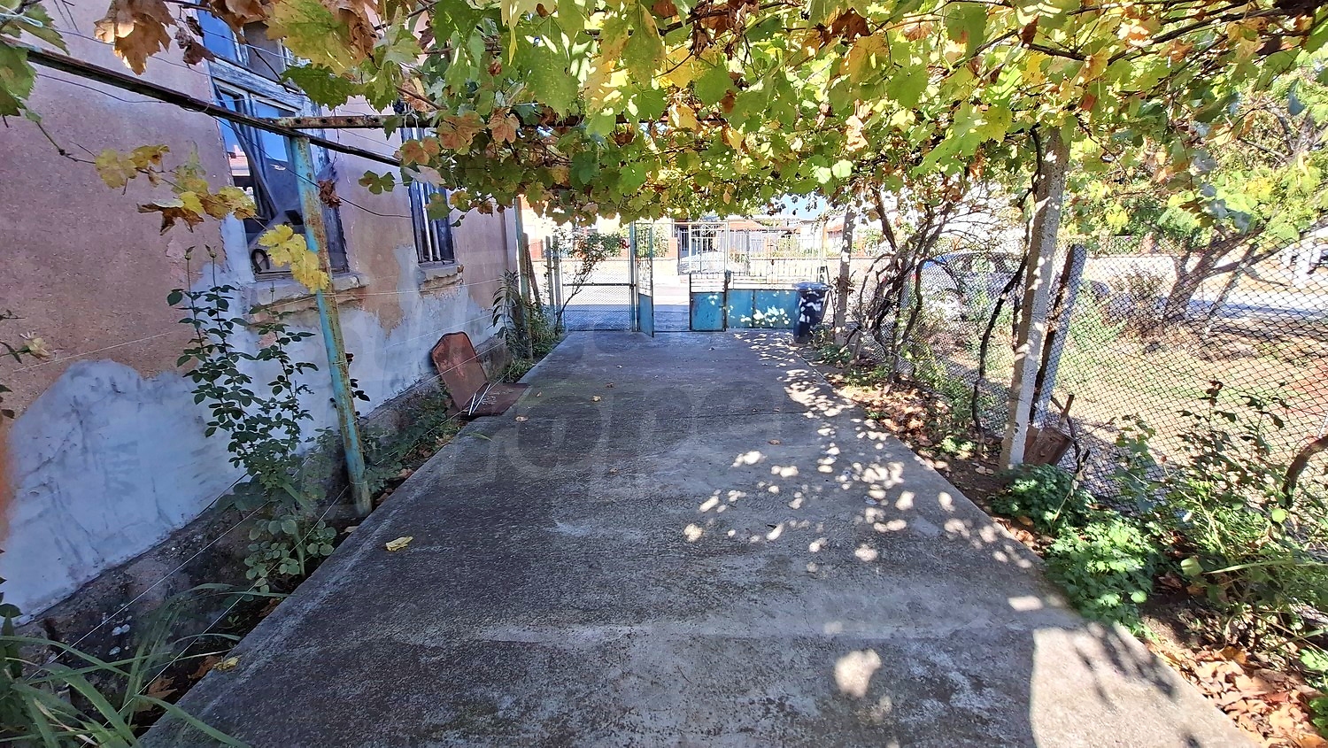outside, garden