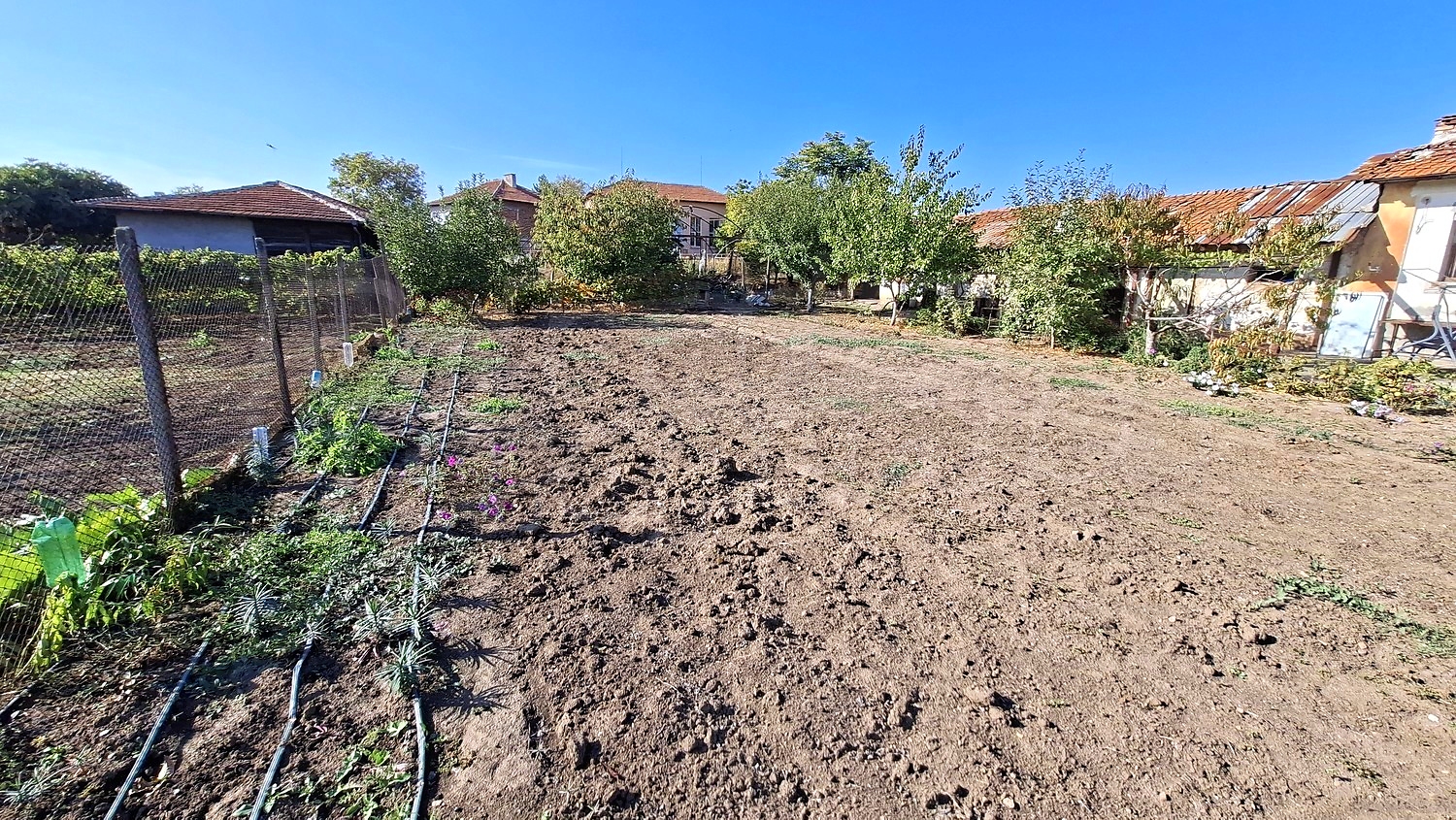 outside, garden, green area