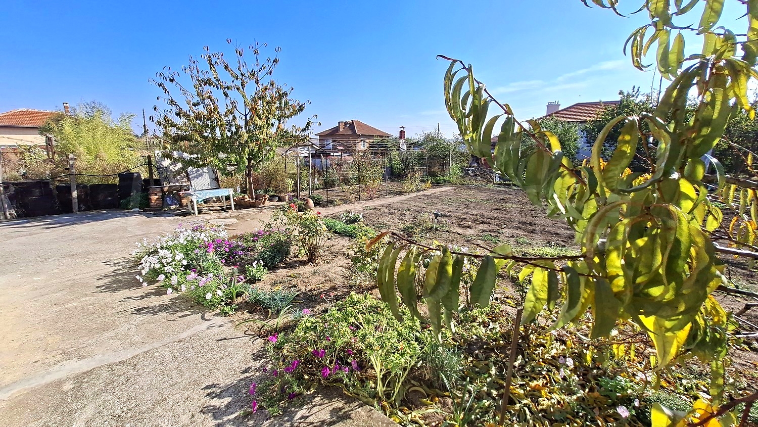 outside, garden, green area