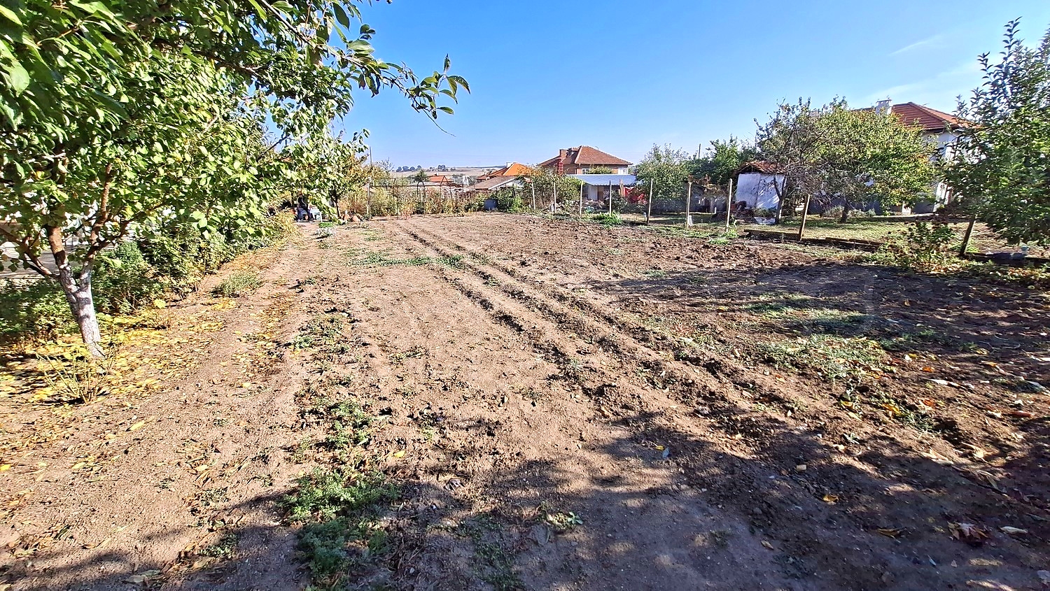 outside, garden