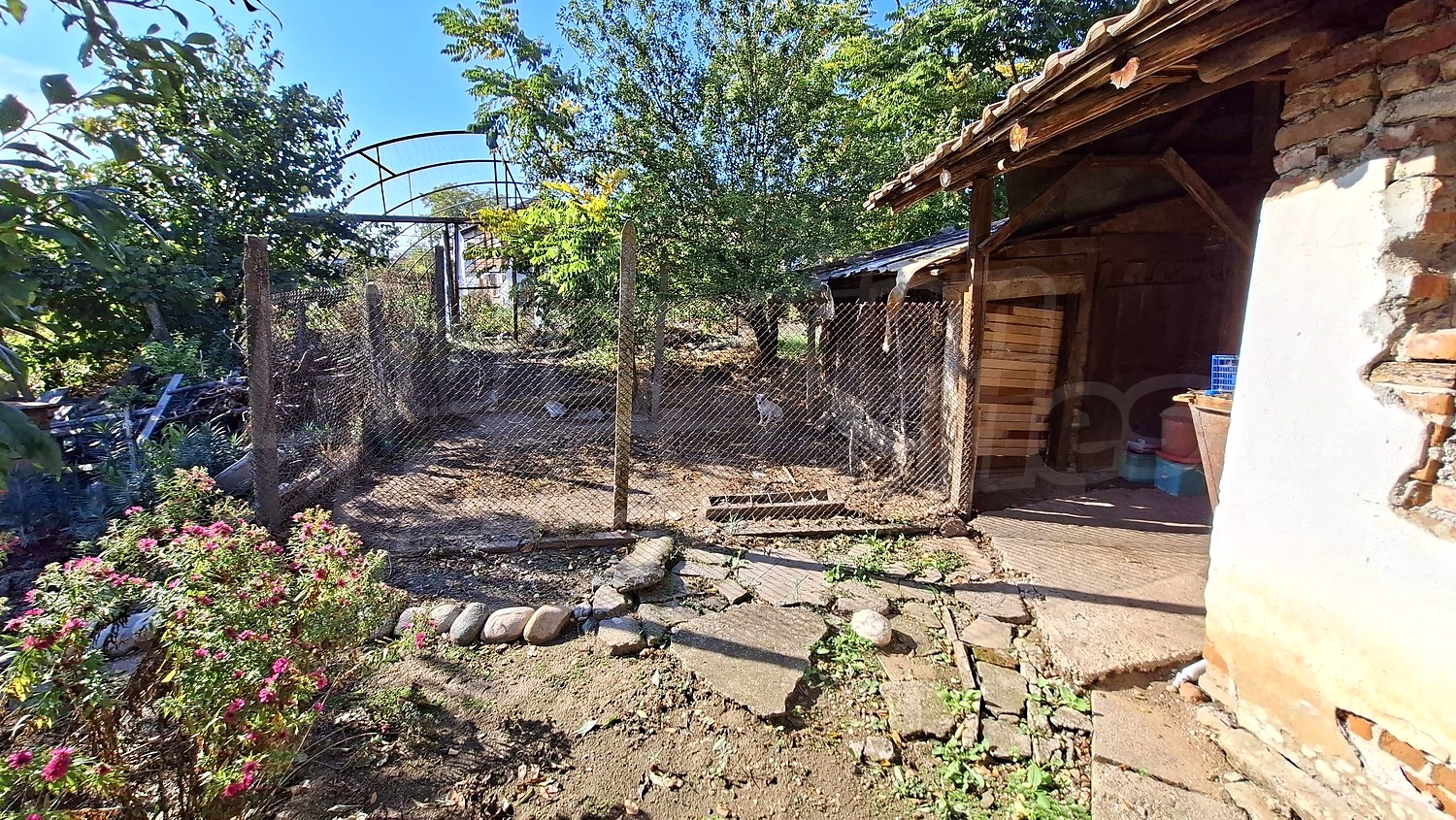outside, garden