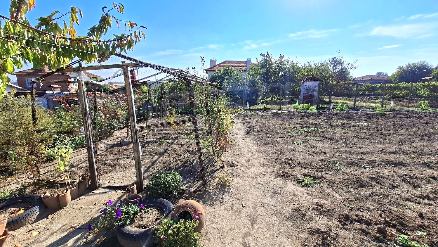 outside, garden