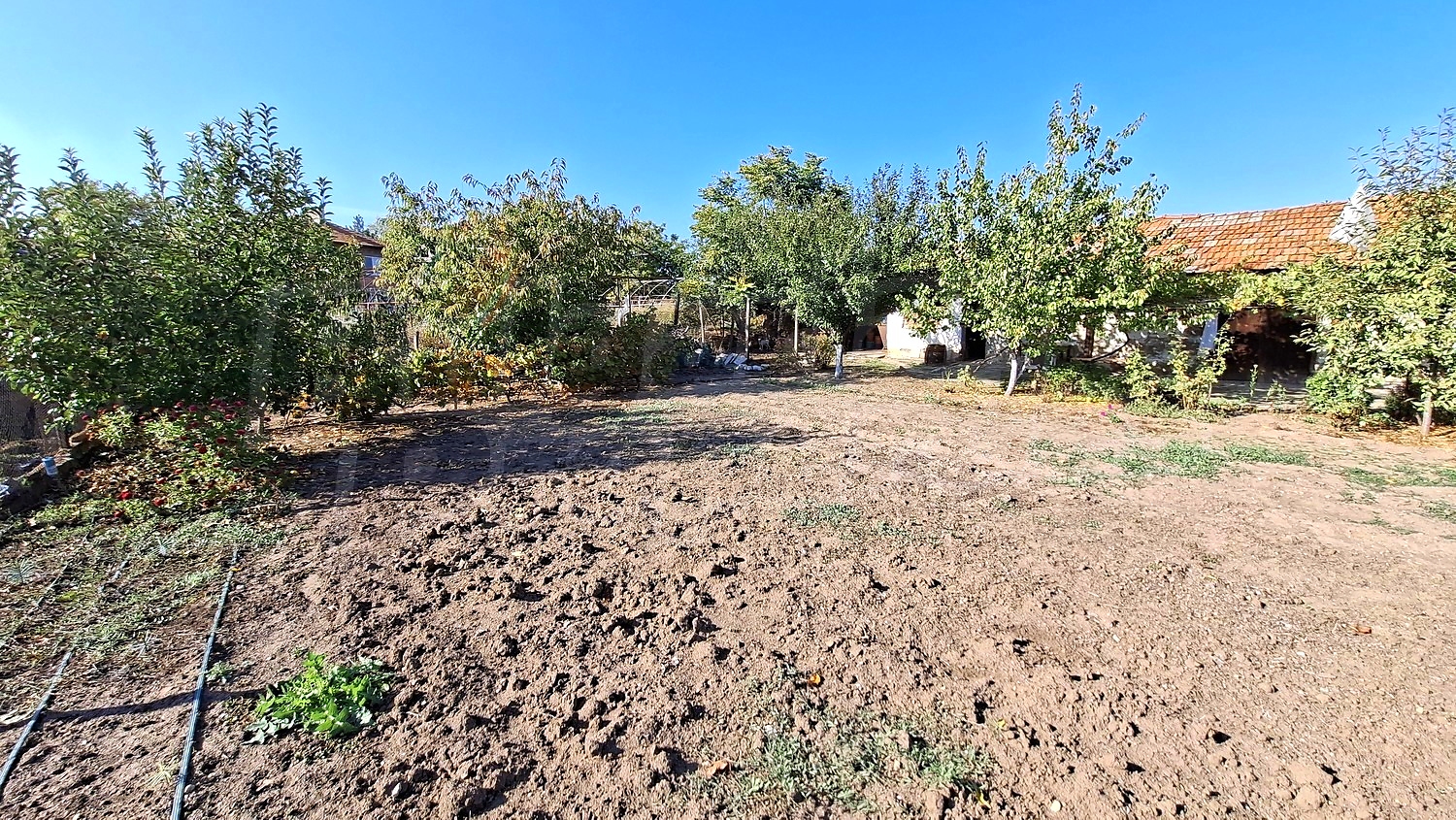 outside, garden