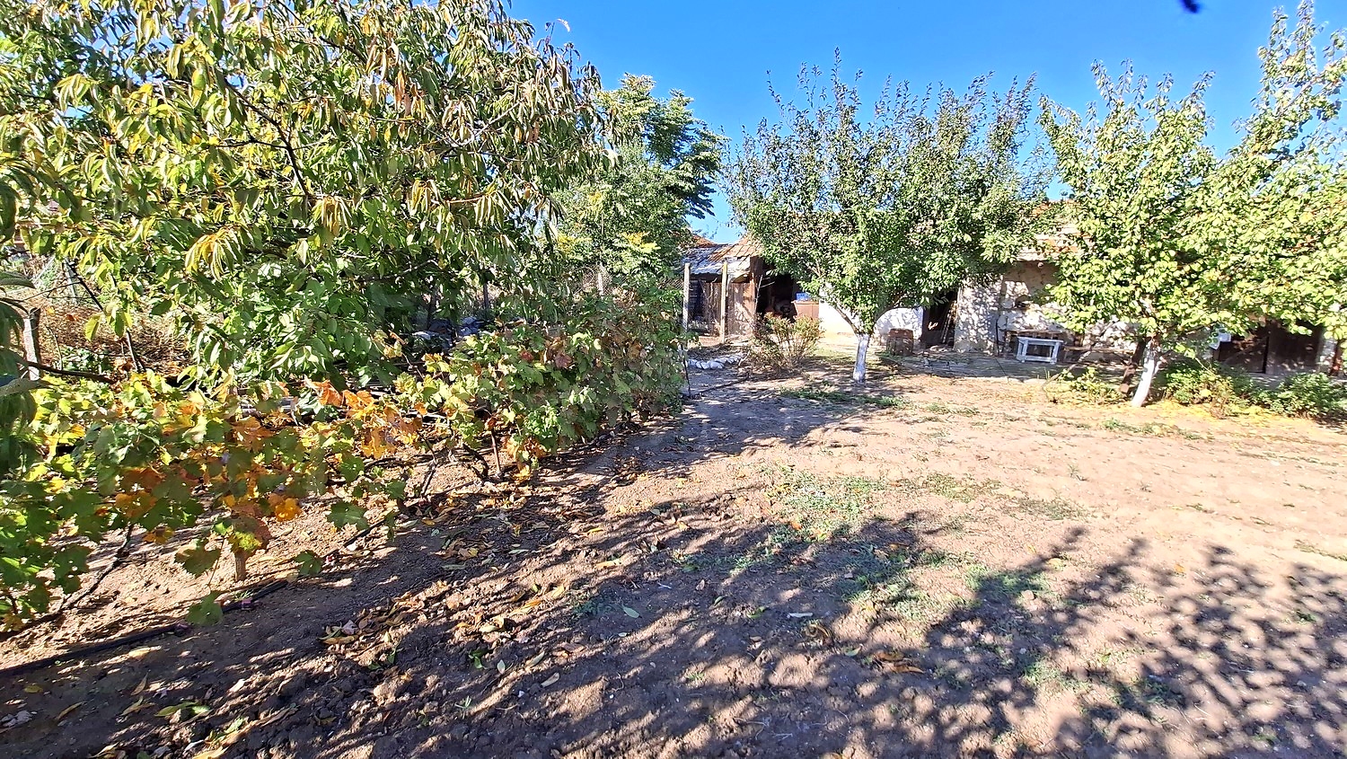 outside, garden