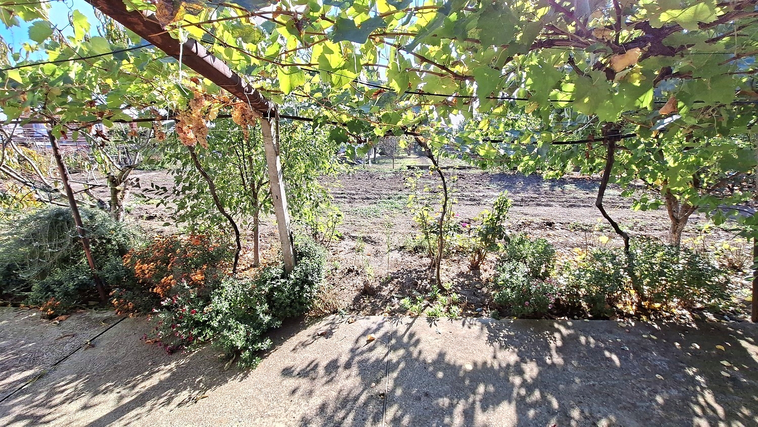 outside, garden, green area