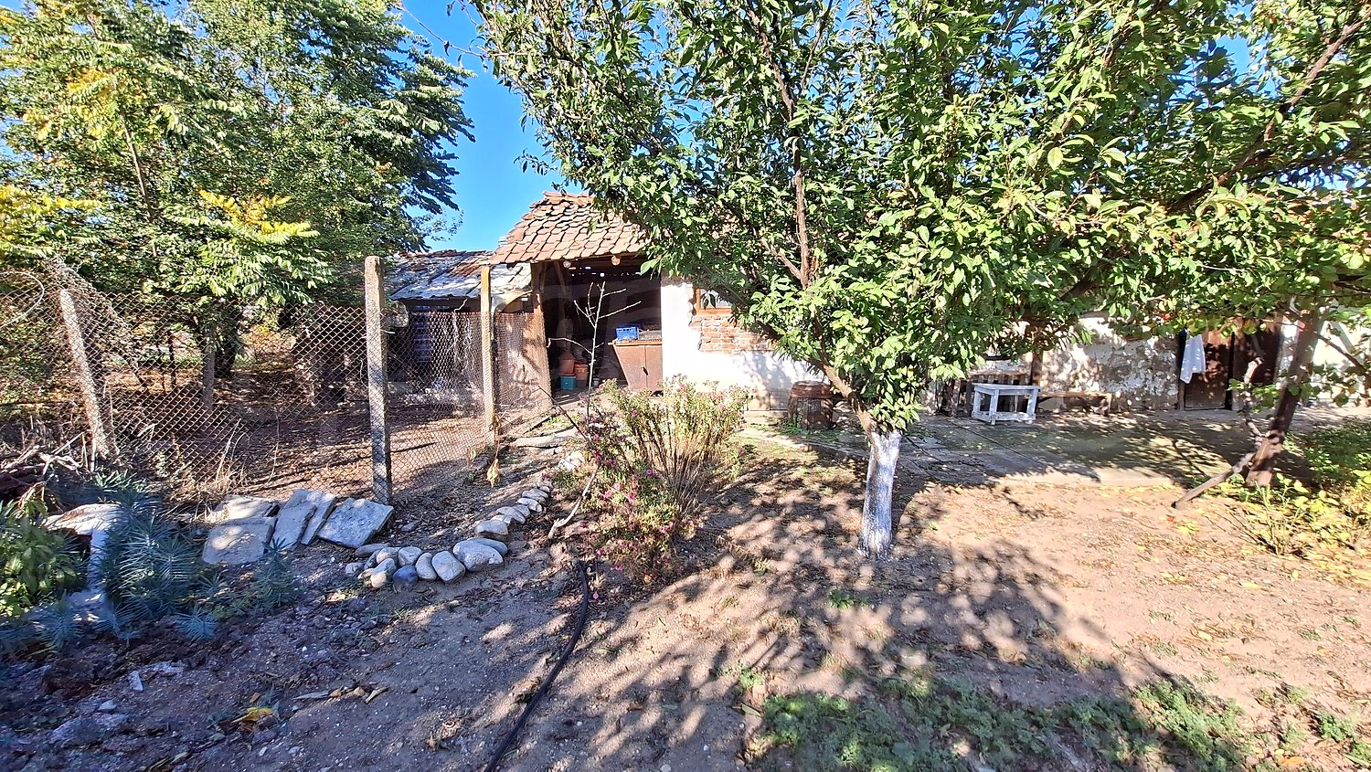 outside, garden