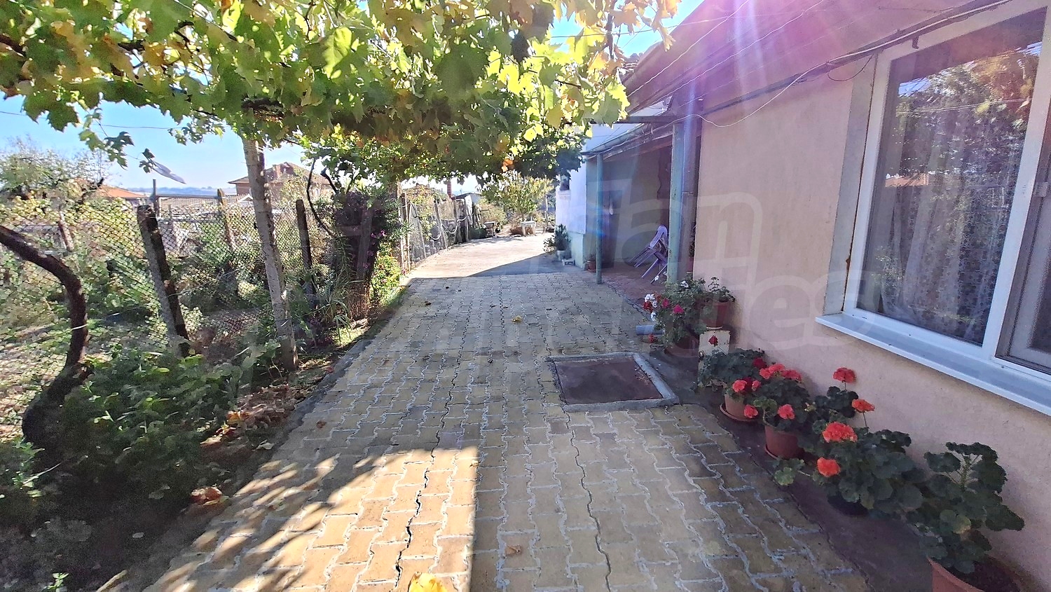 outside, garden