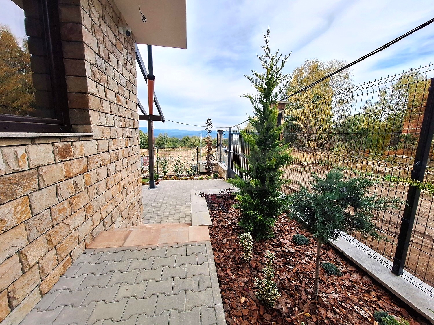 outside, garden