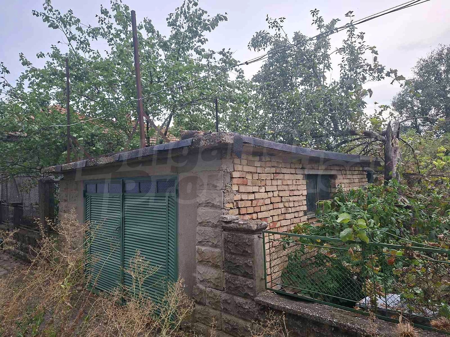 outside, garden