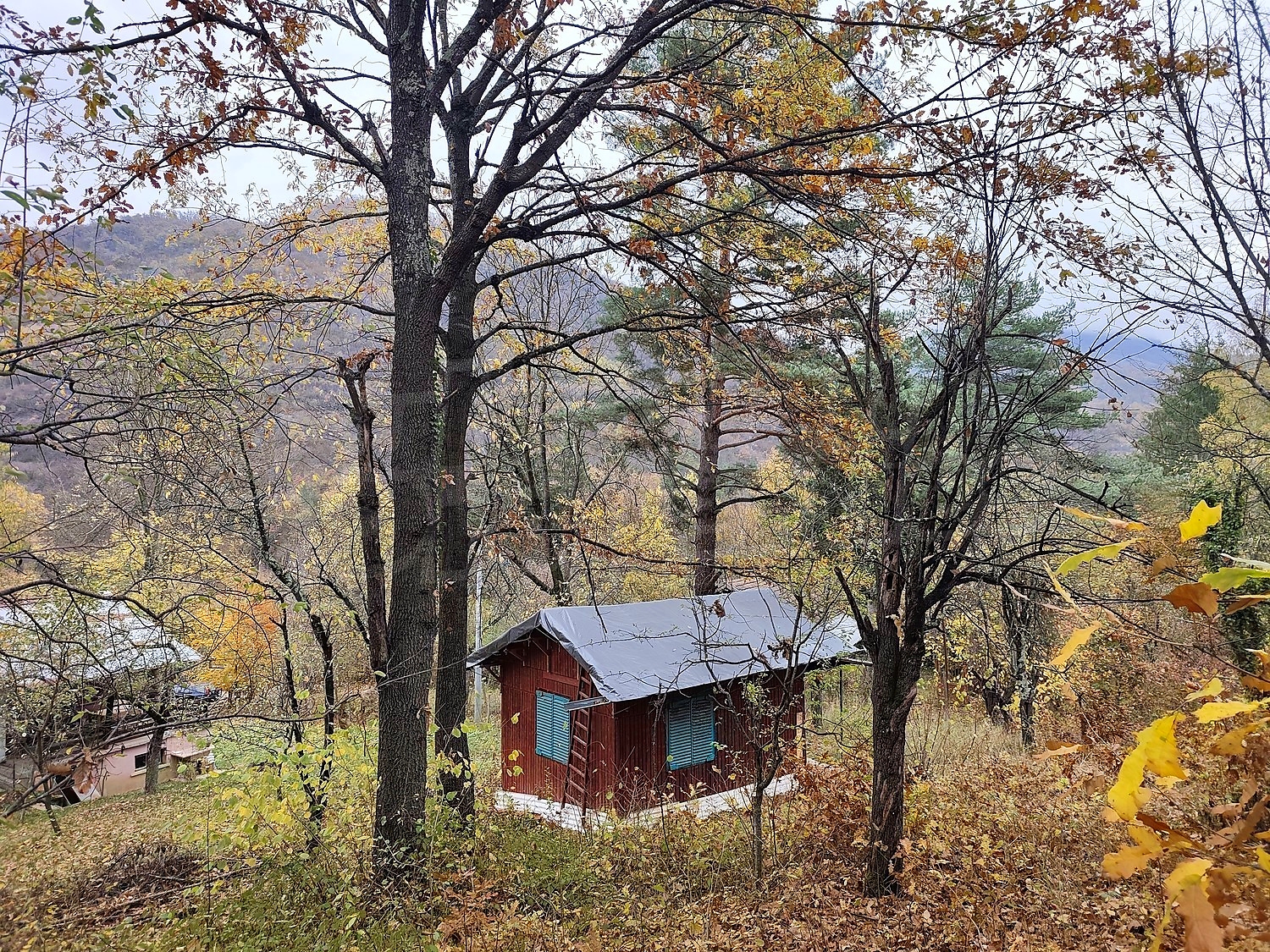outside, mountain, green area