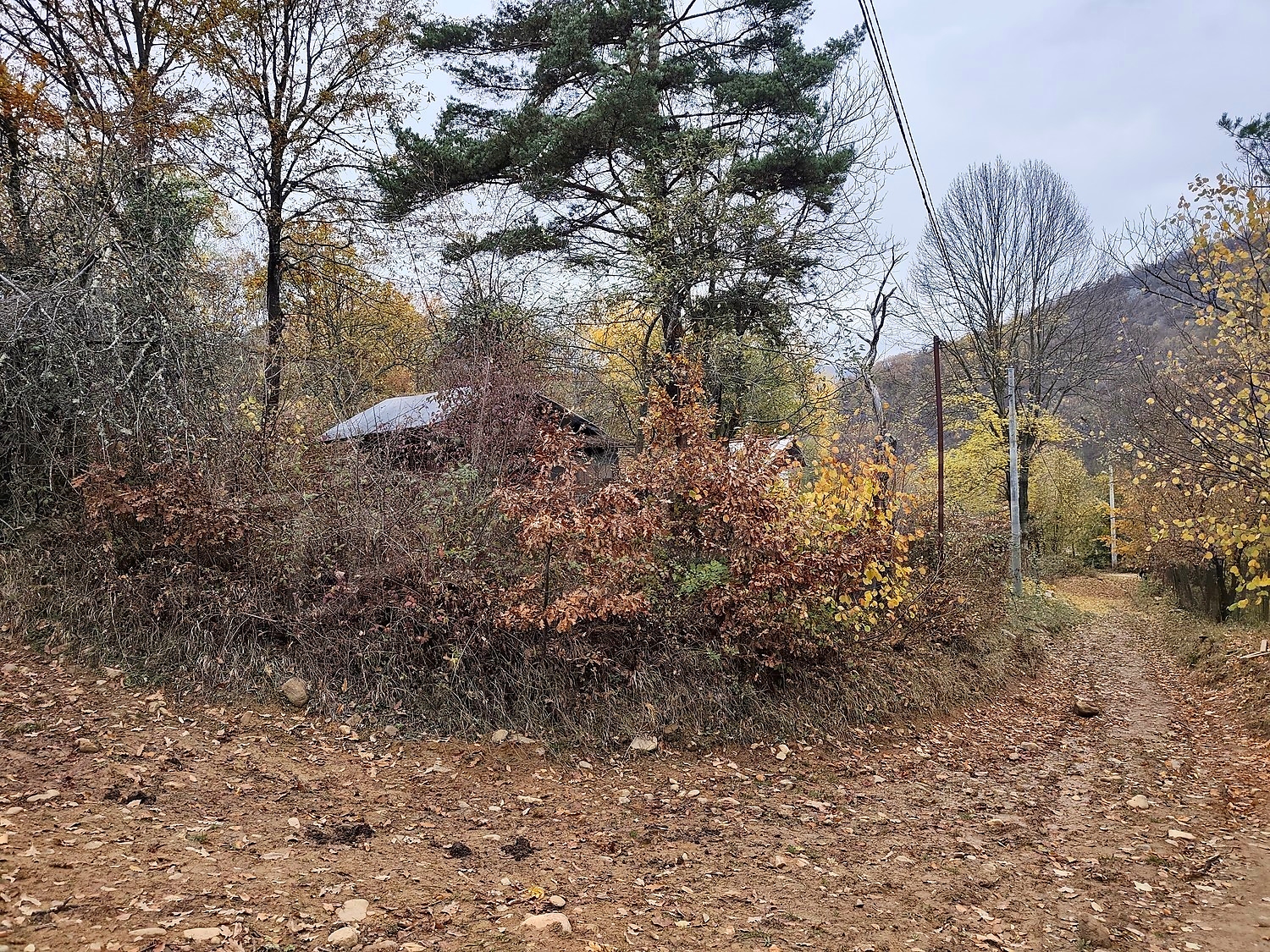 outside, mountain, green area