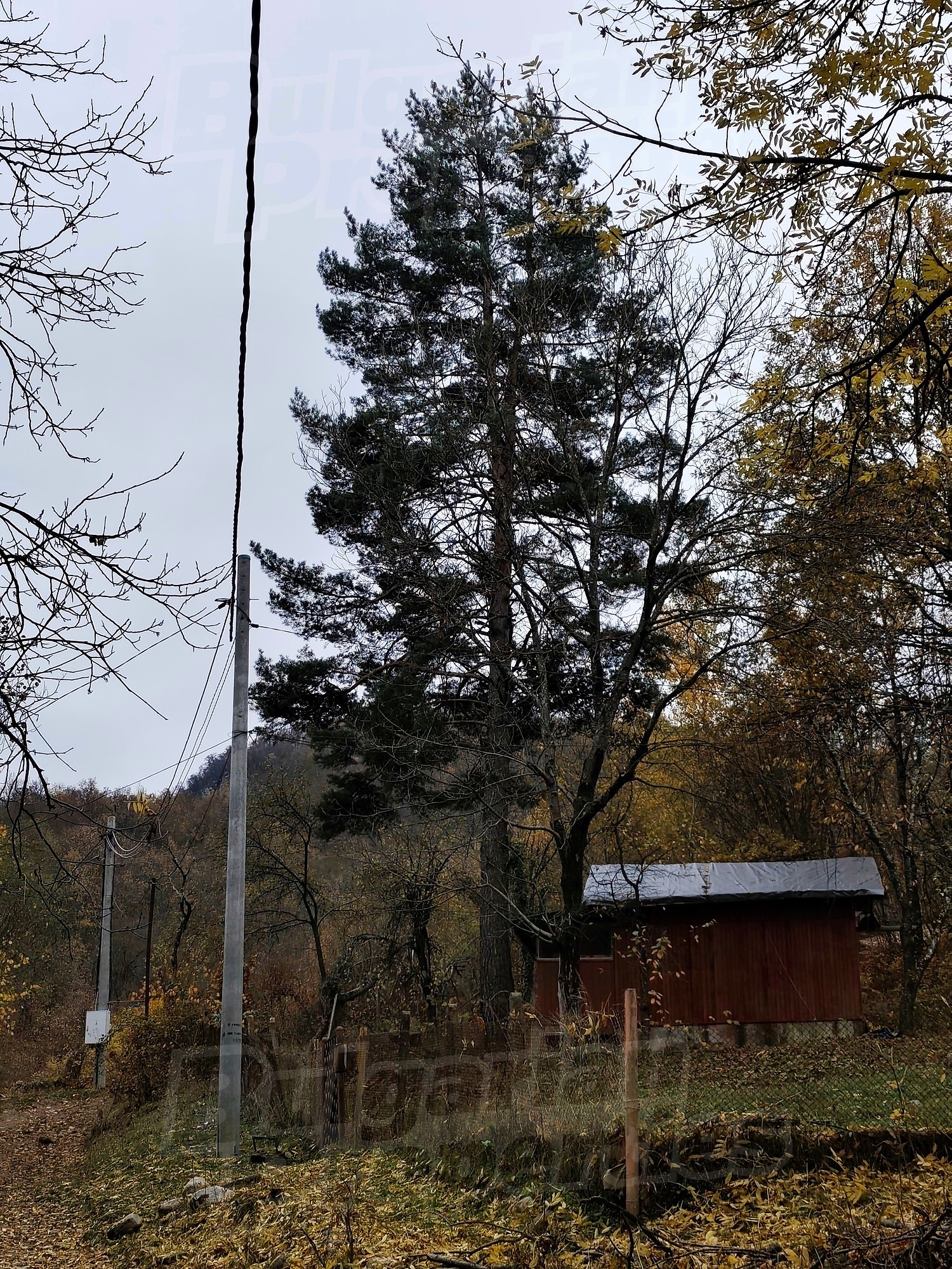 outside, garden