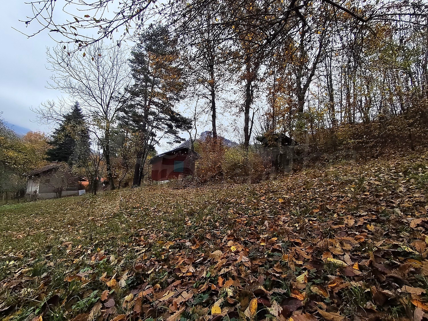 outside, garden, mountain, green area
