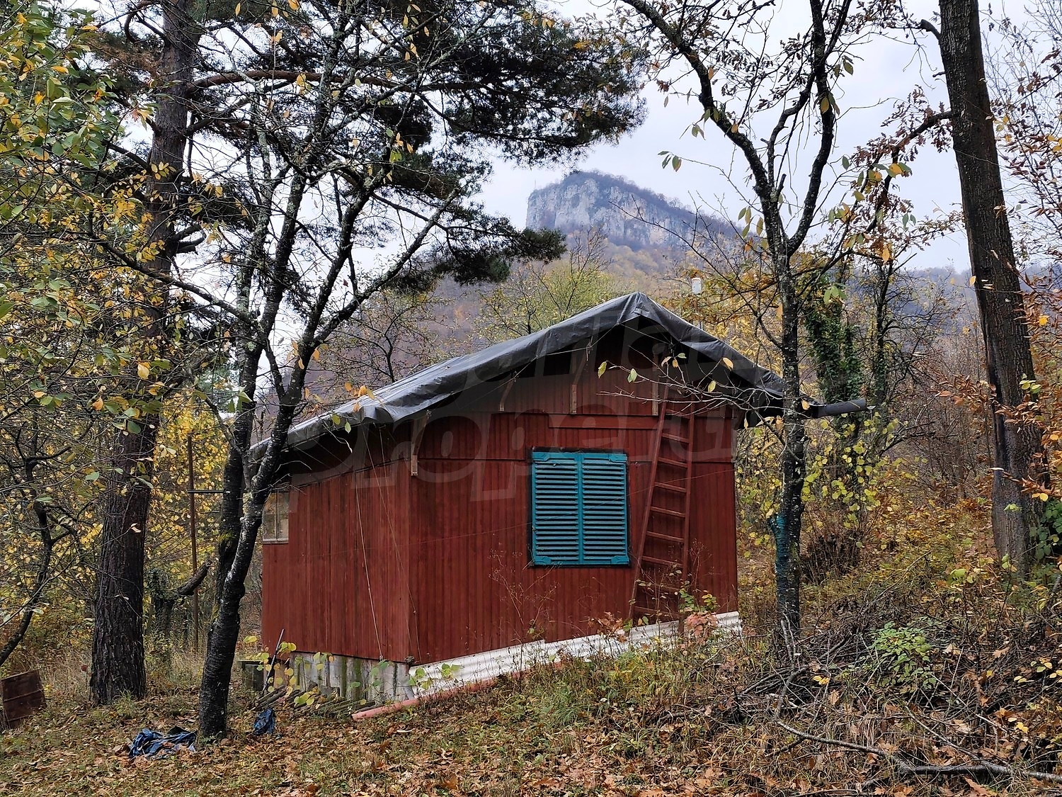 outside, mountain, green area