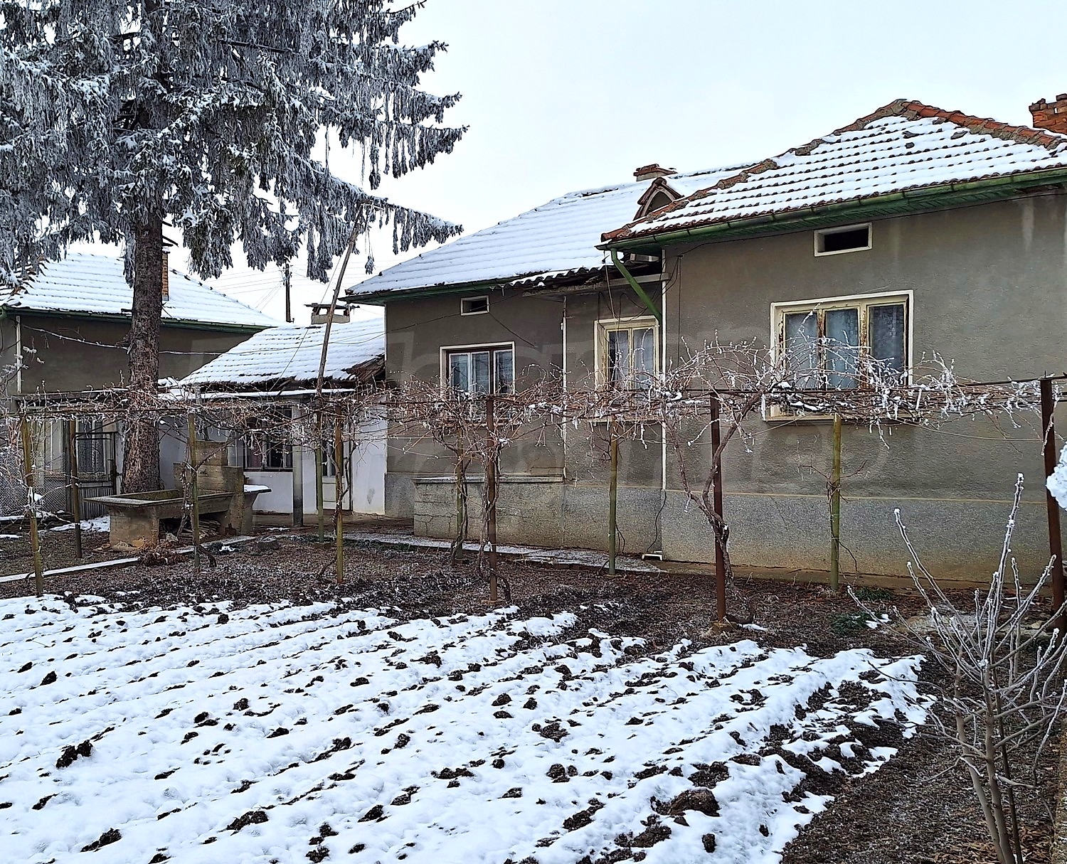 outside, facade, garden