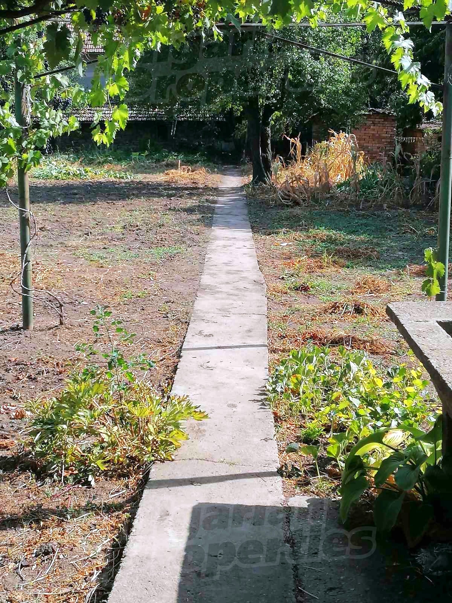outside, garden, green area
