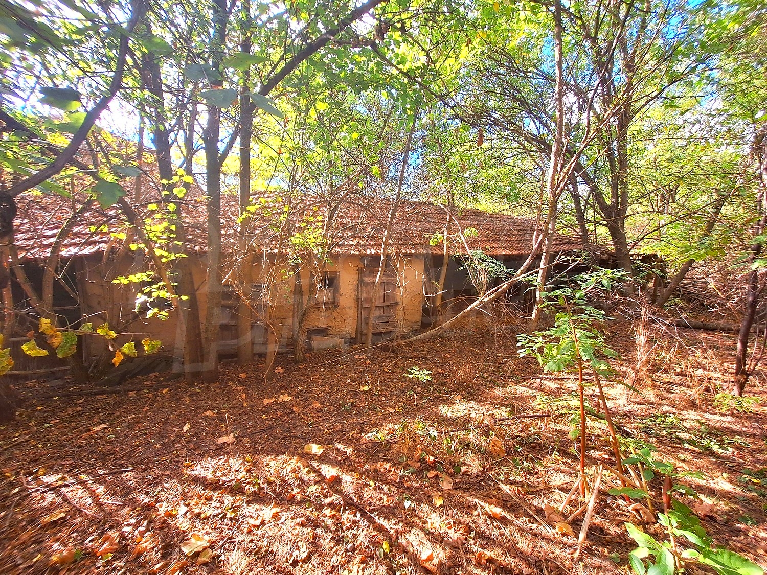 outside, facade, garden