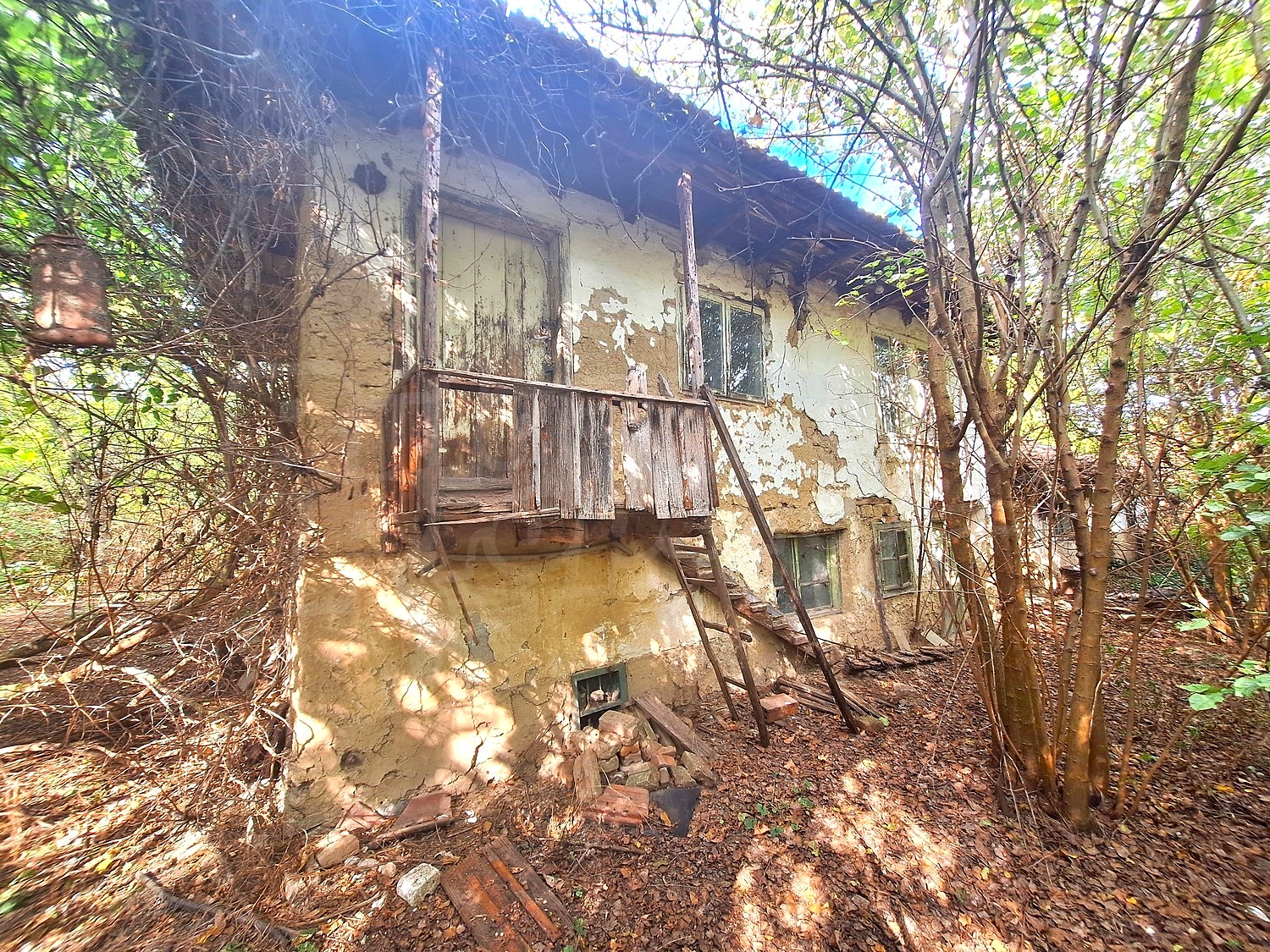 outside, facade, garden