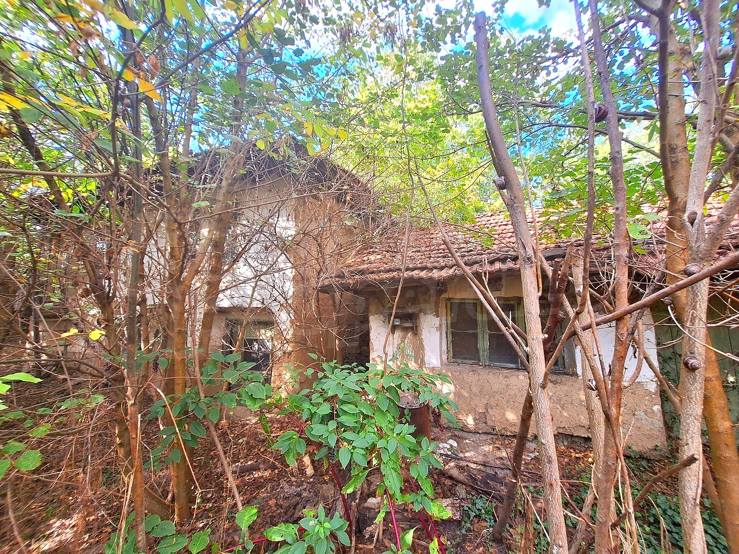 outside, facade, garden