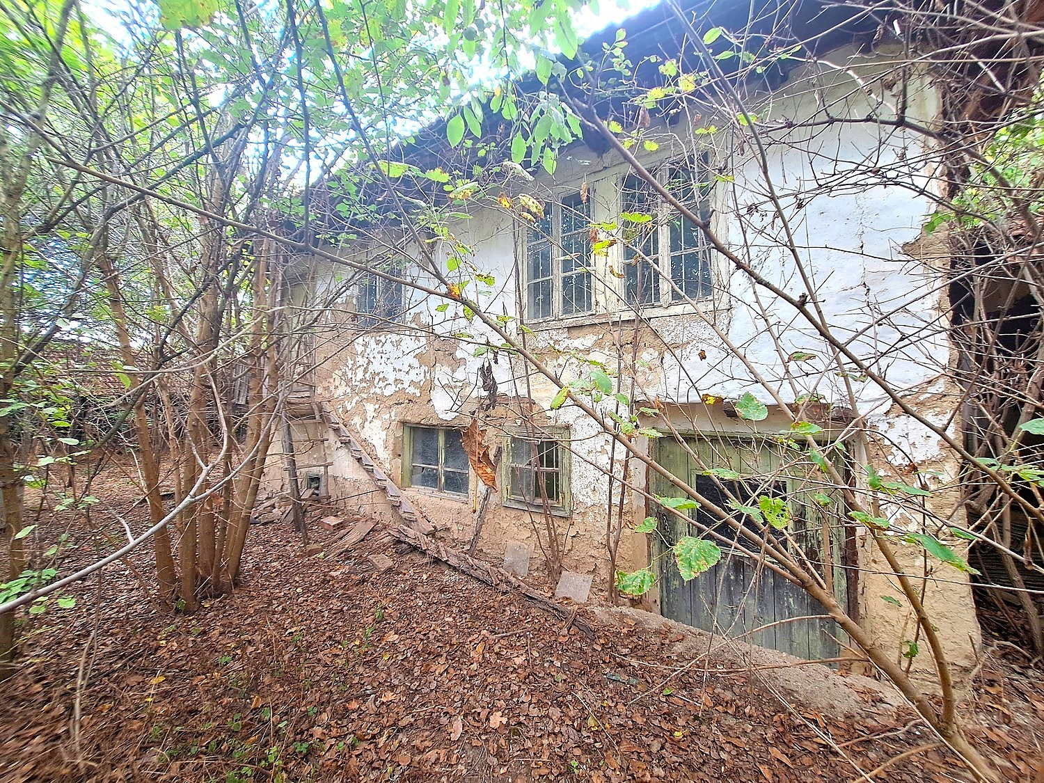 outside, facade, garden