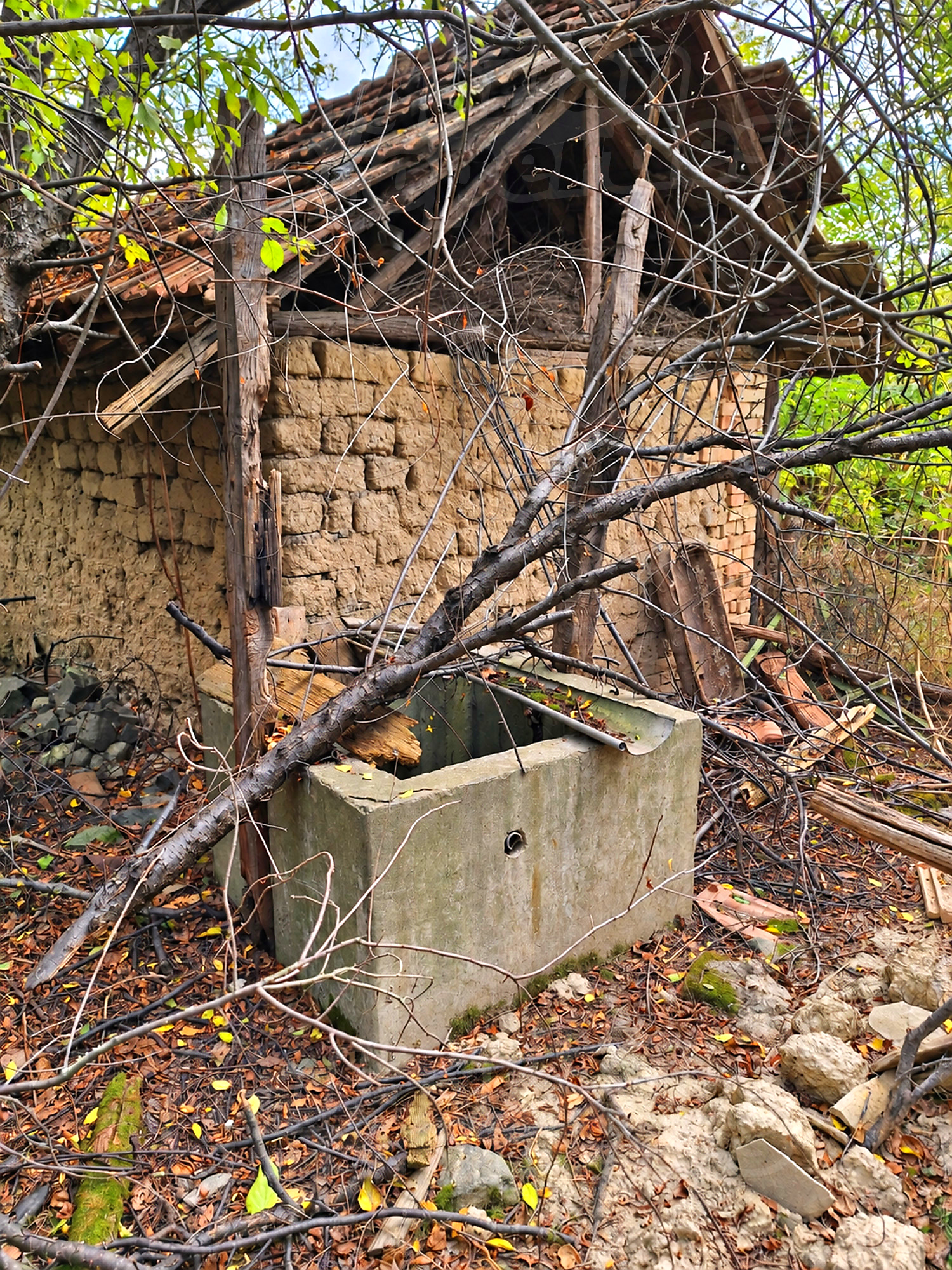 outside, facade, garden