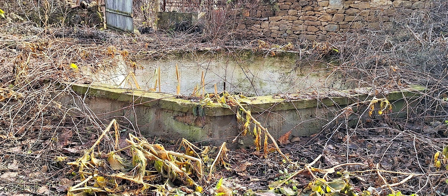 outside, garden