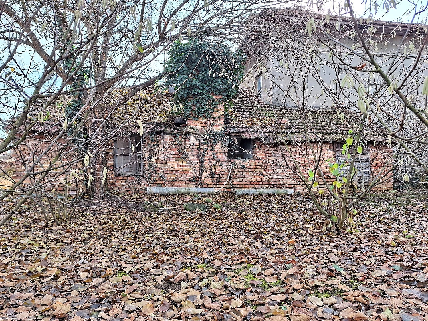 outside, facade, garden