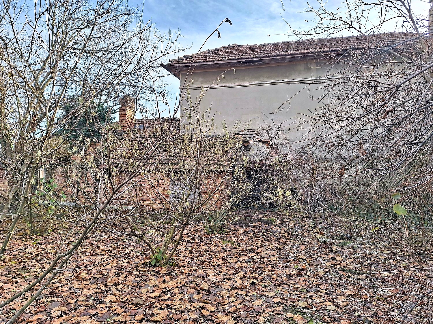 outside, facade, garden