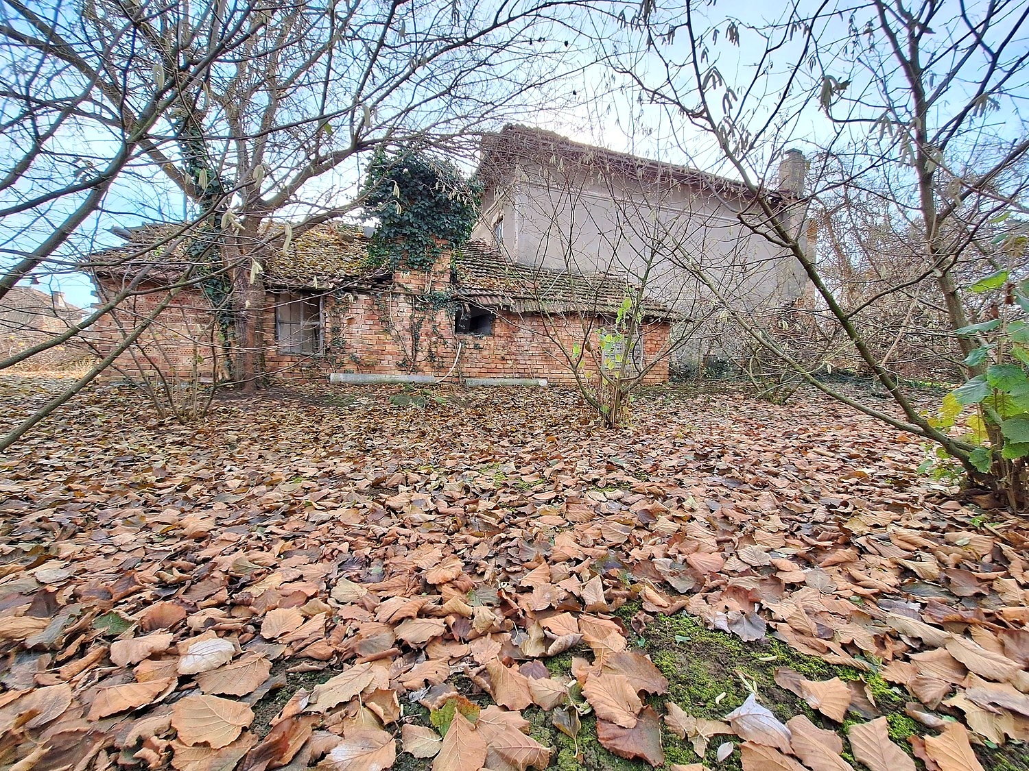 outside, facade, garden