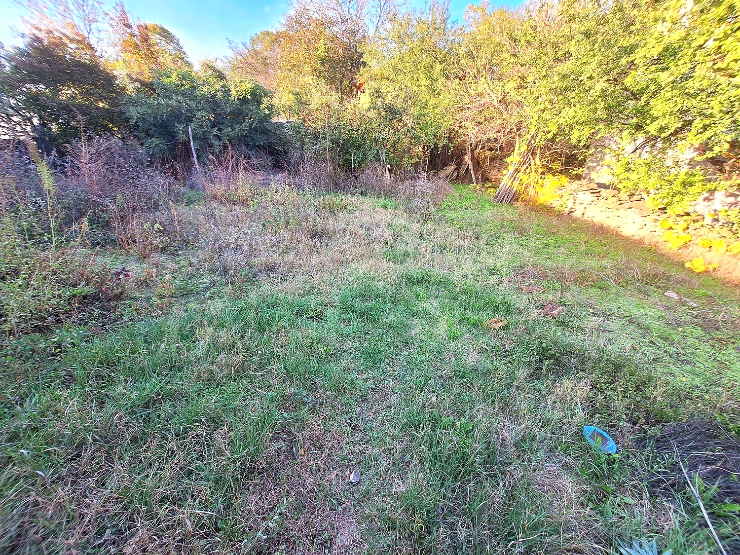 outside, garden, green area