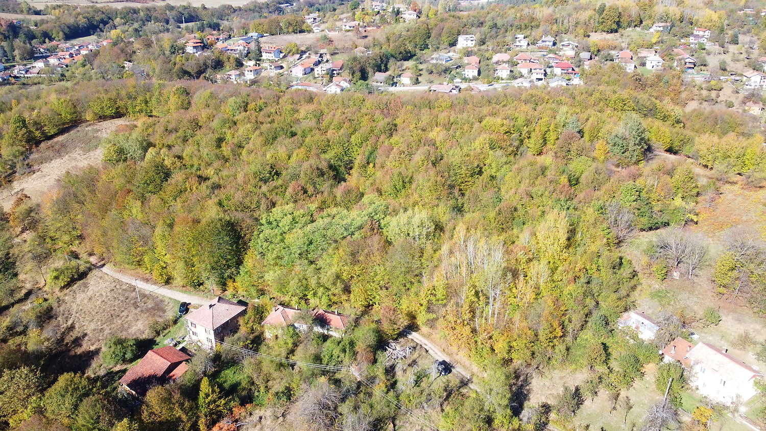 outside, green area