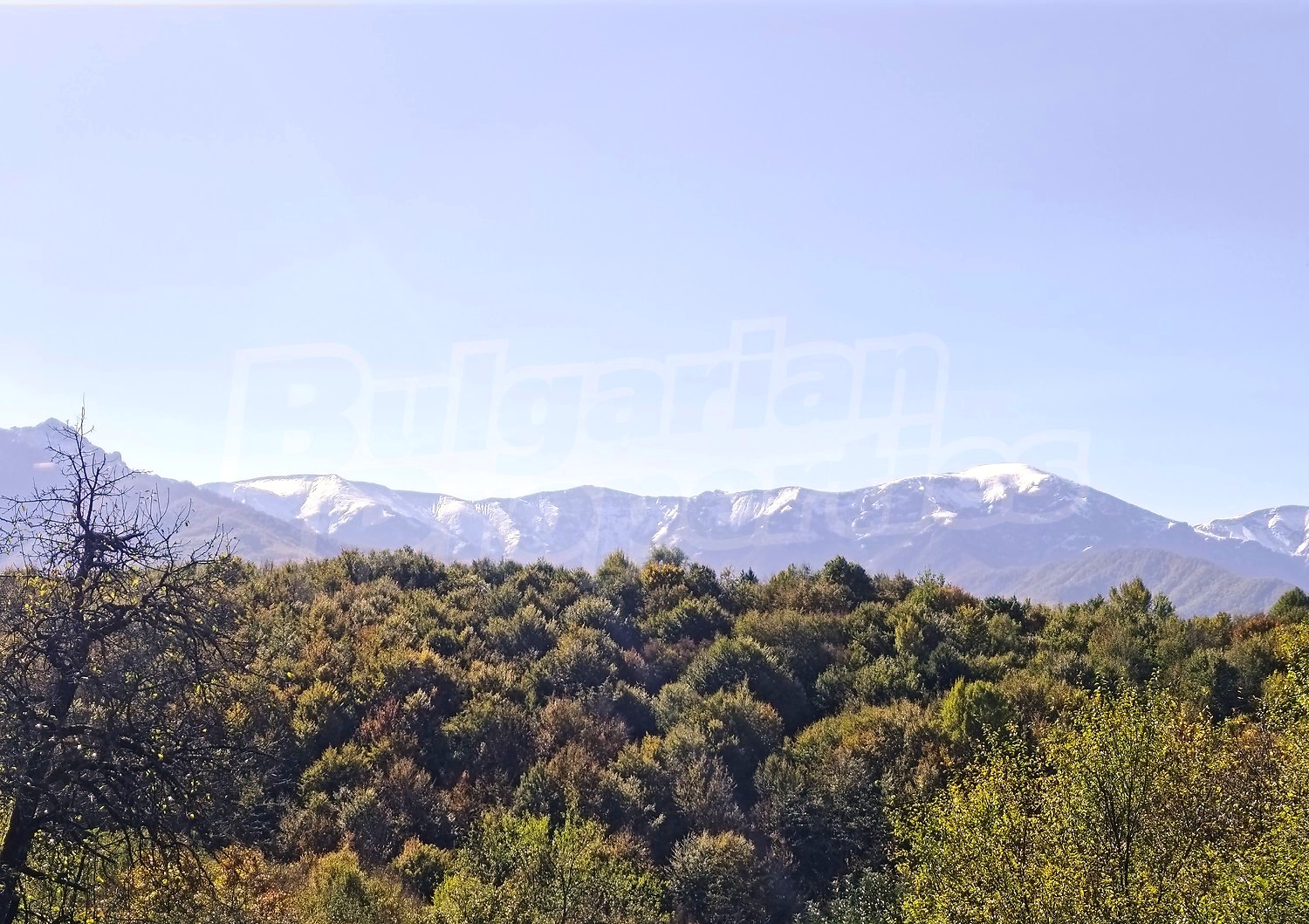 outside, mountain, green area
