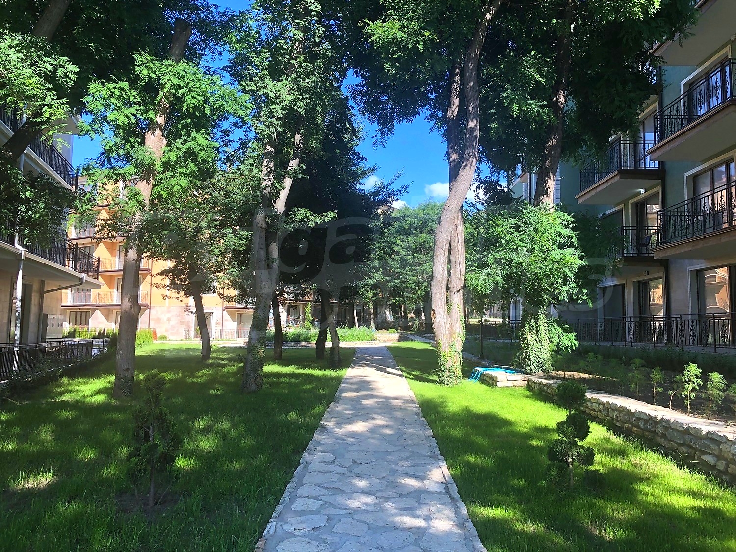 outside, garden, green area