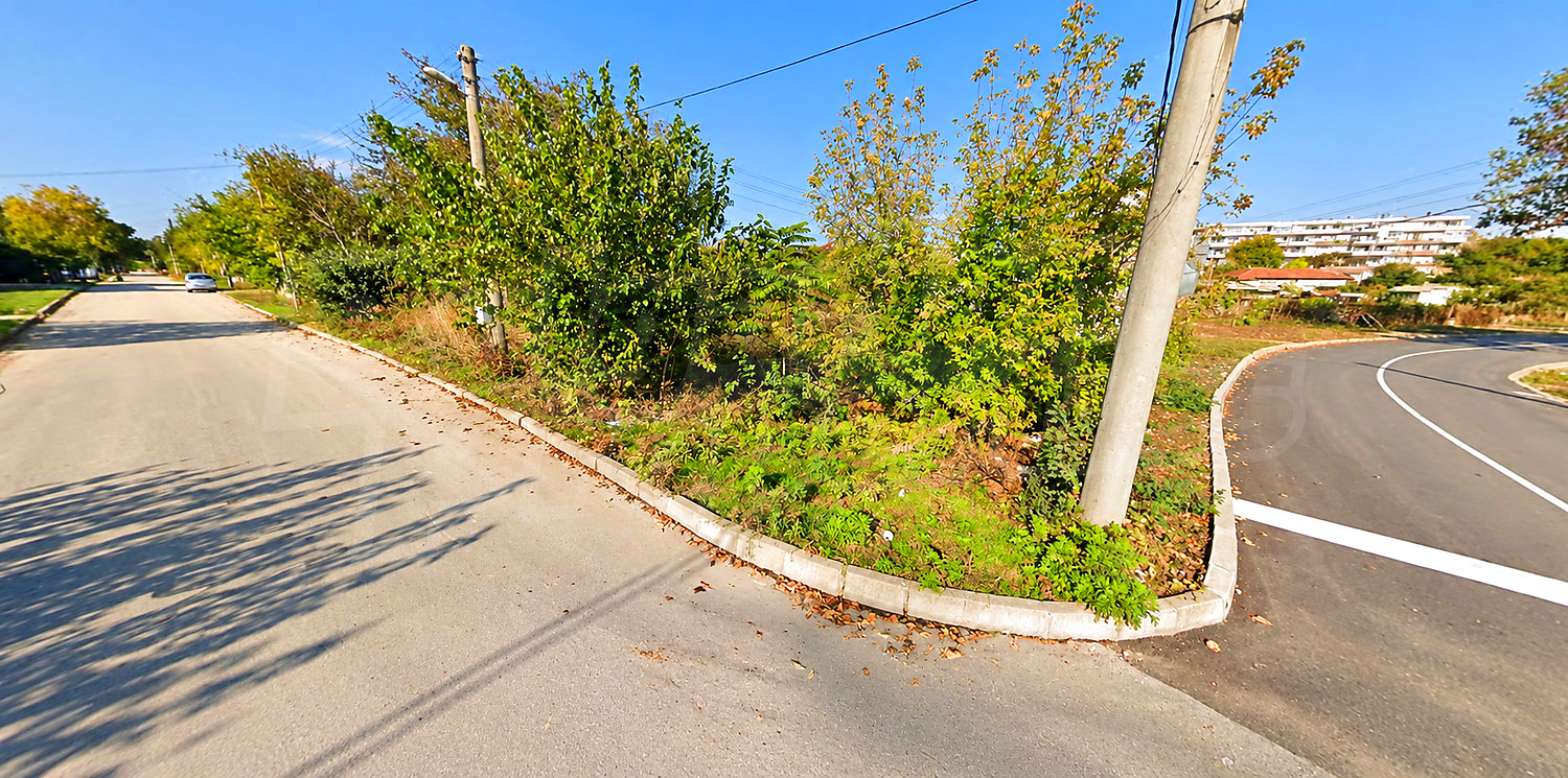 outside, green area