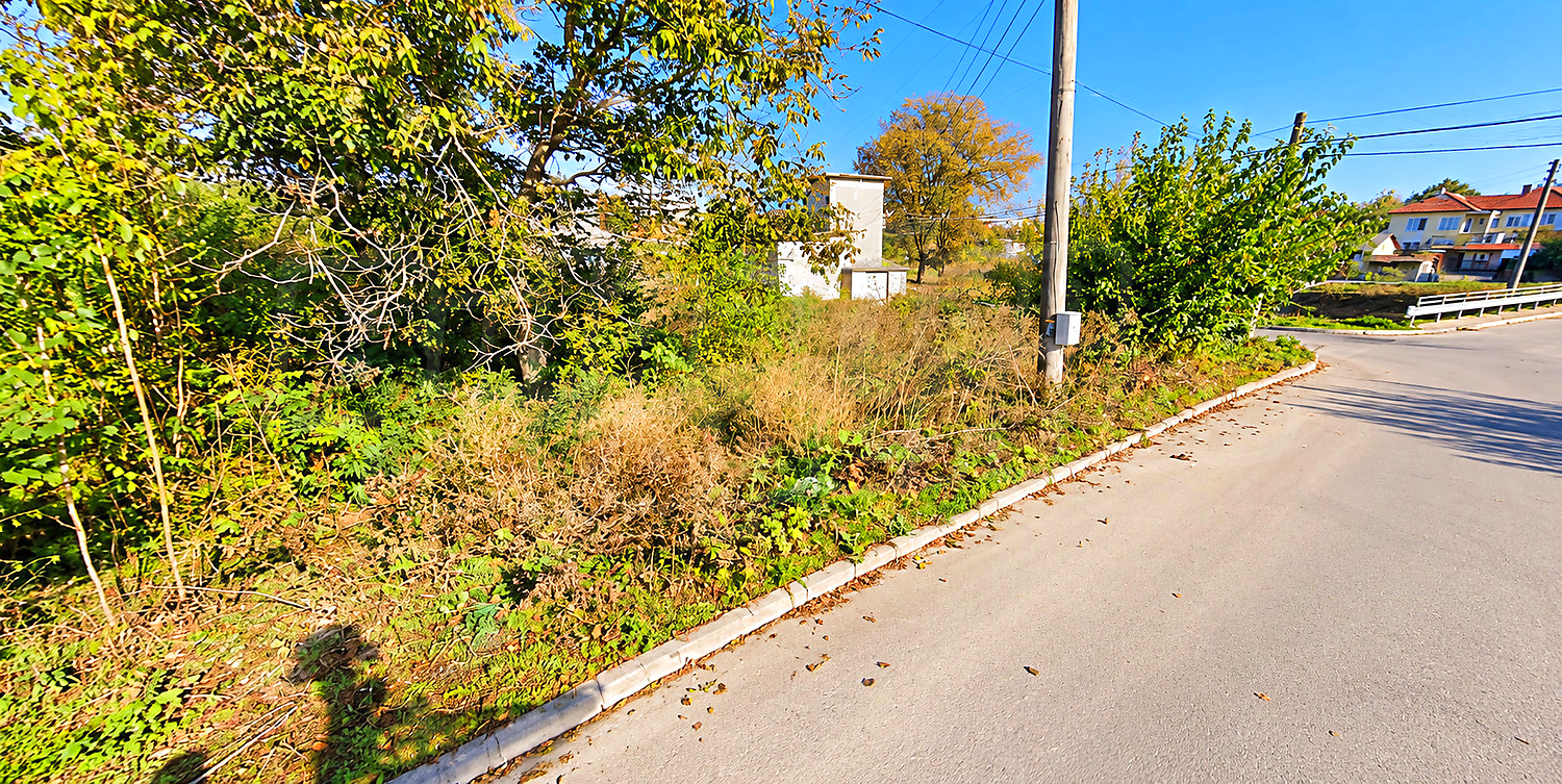 outside, green area