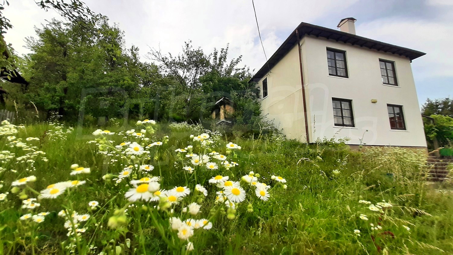 facade, garden, outside