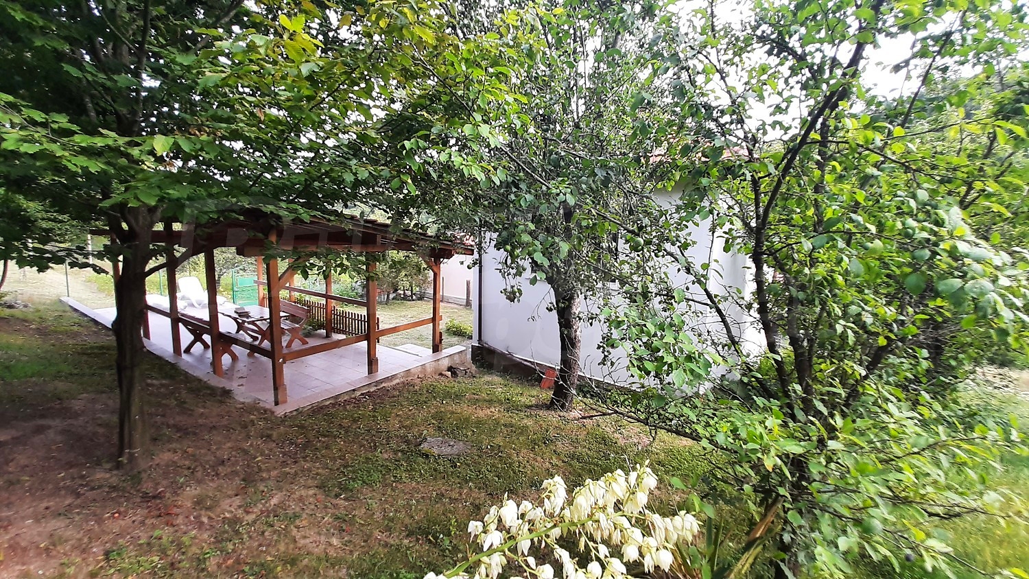 outside, garden