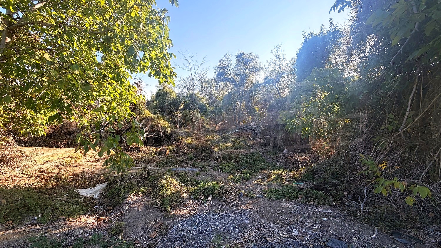 outside, green area