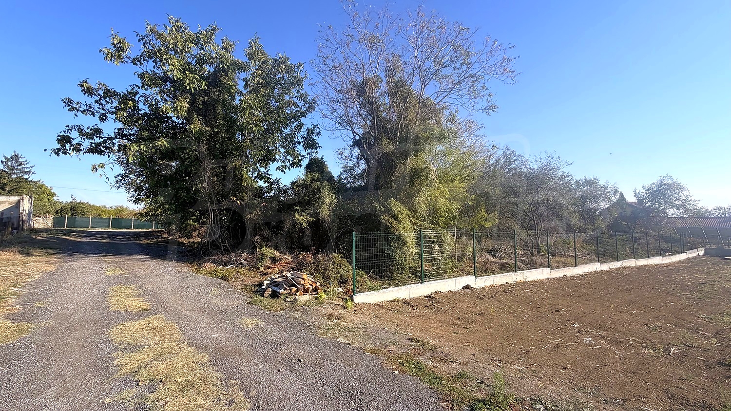 outside, garden, green area
