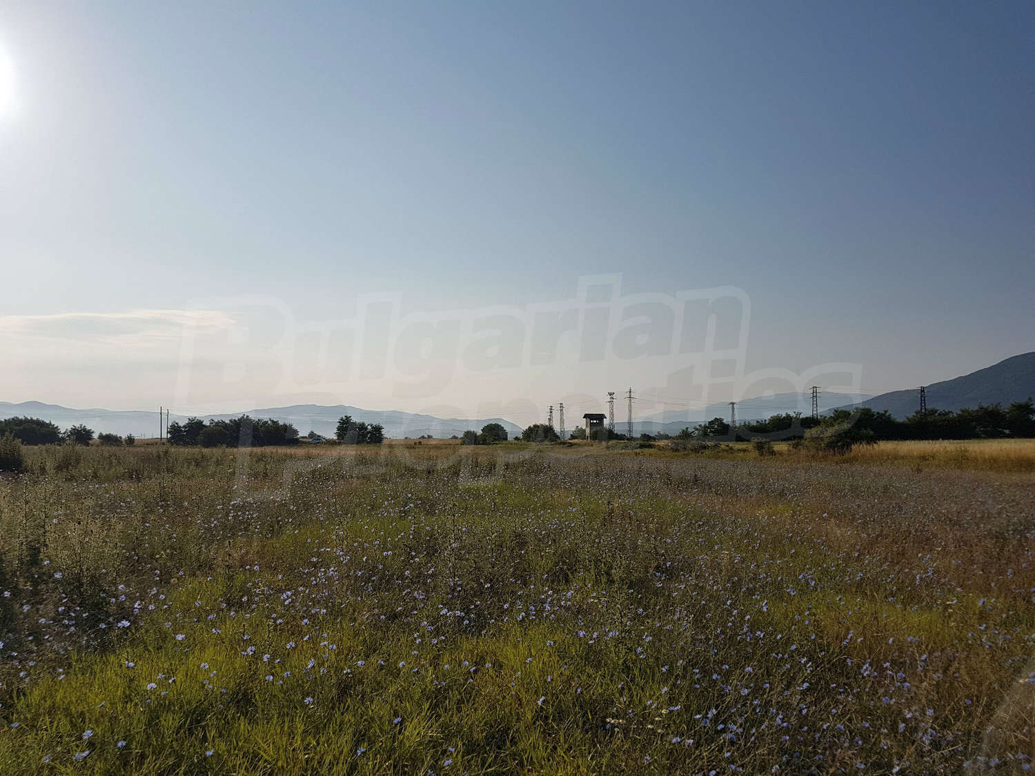 outside, green area, mountain