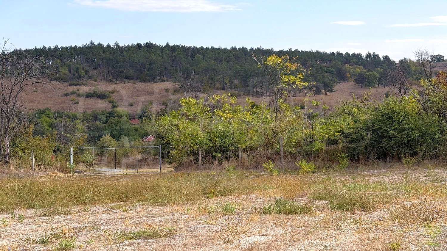 outside, green area, mountain