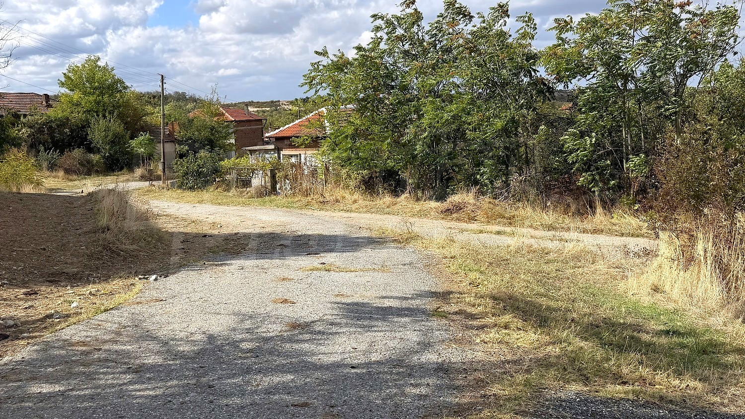 outside, garden, green area