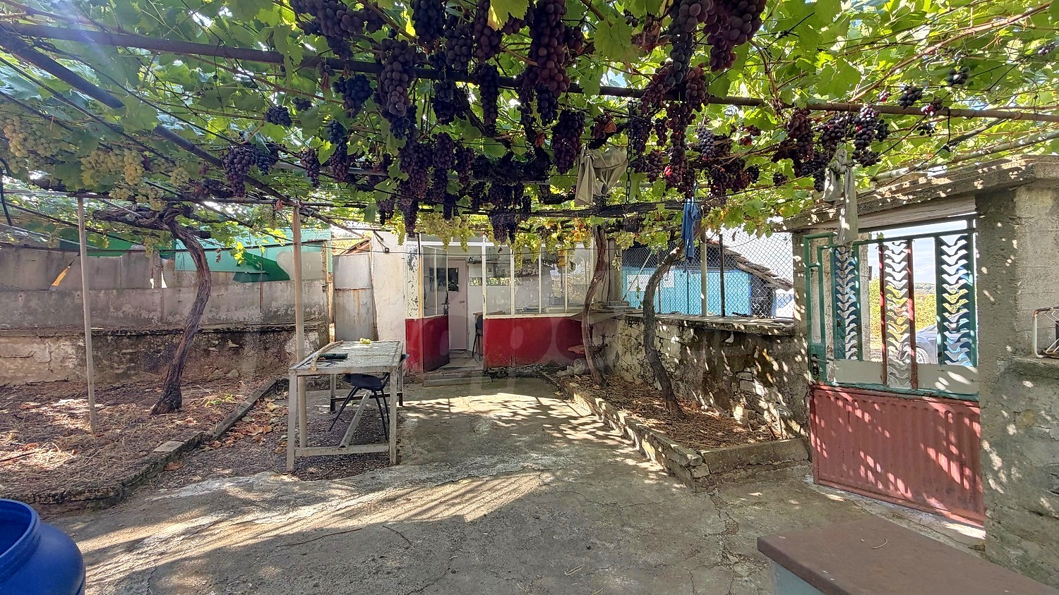 outside, garden