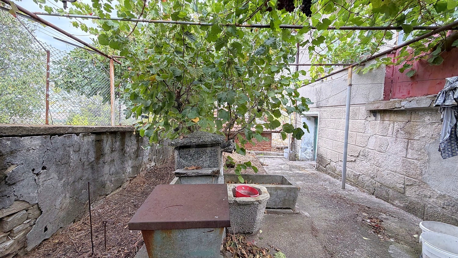 outside, garden