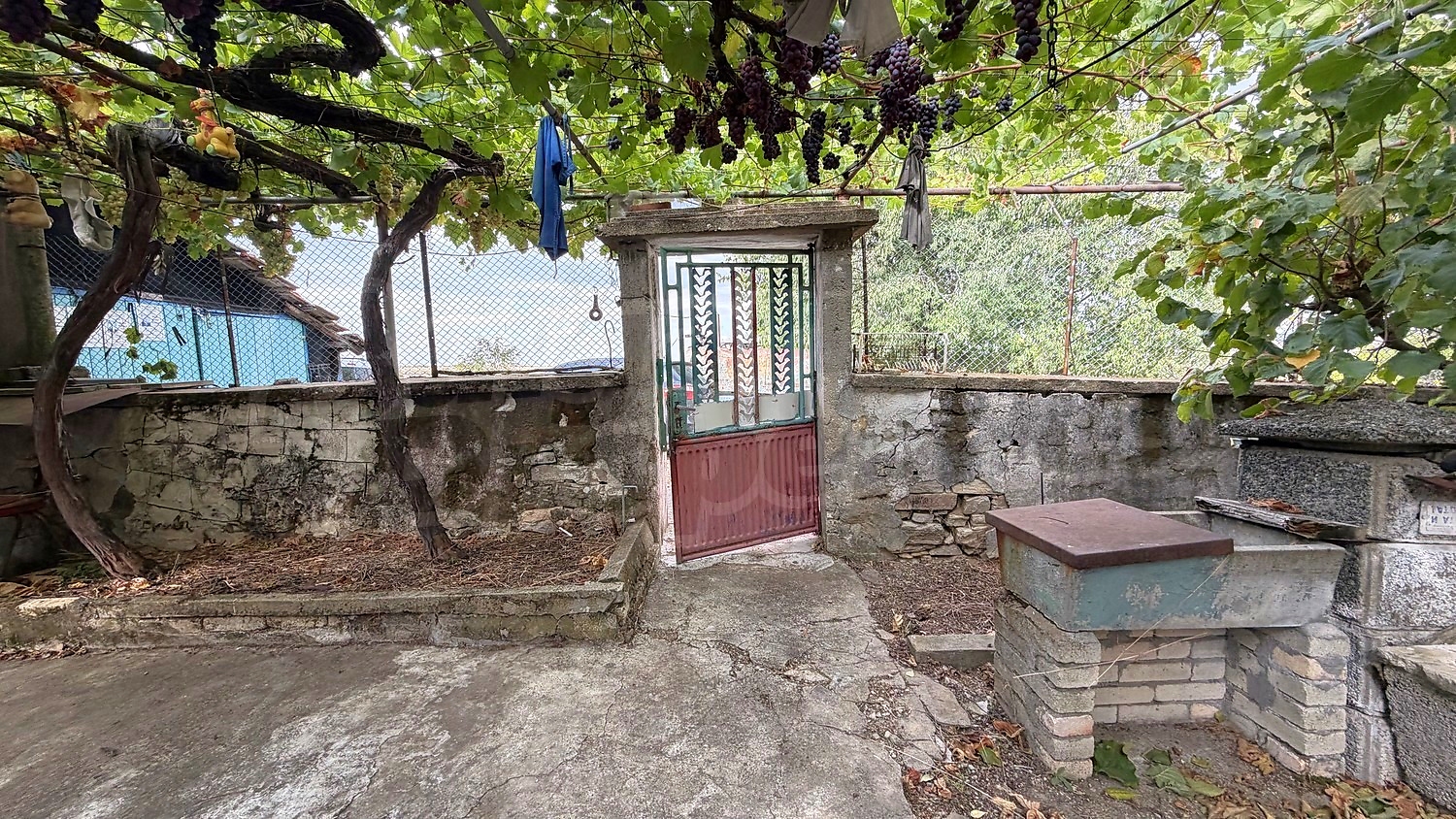 outside, garden
