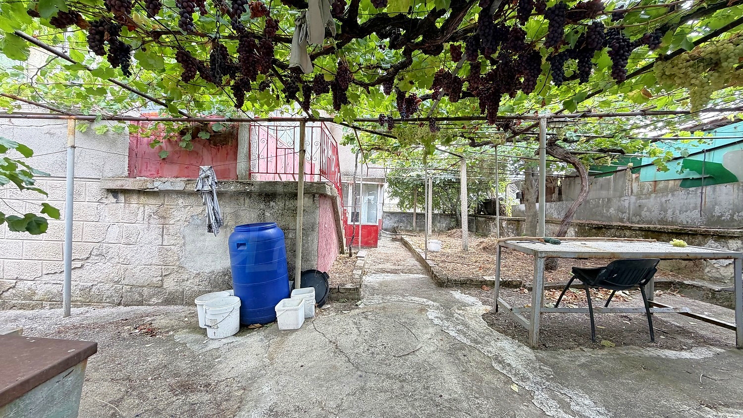 outside, garden
