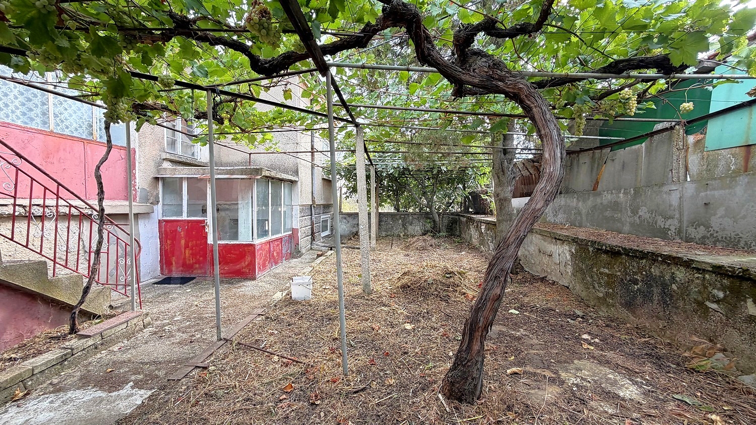 outside, garden