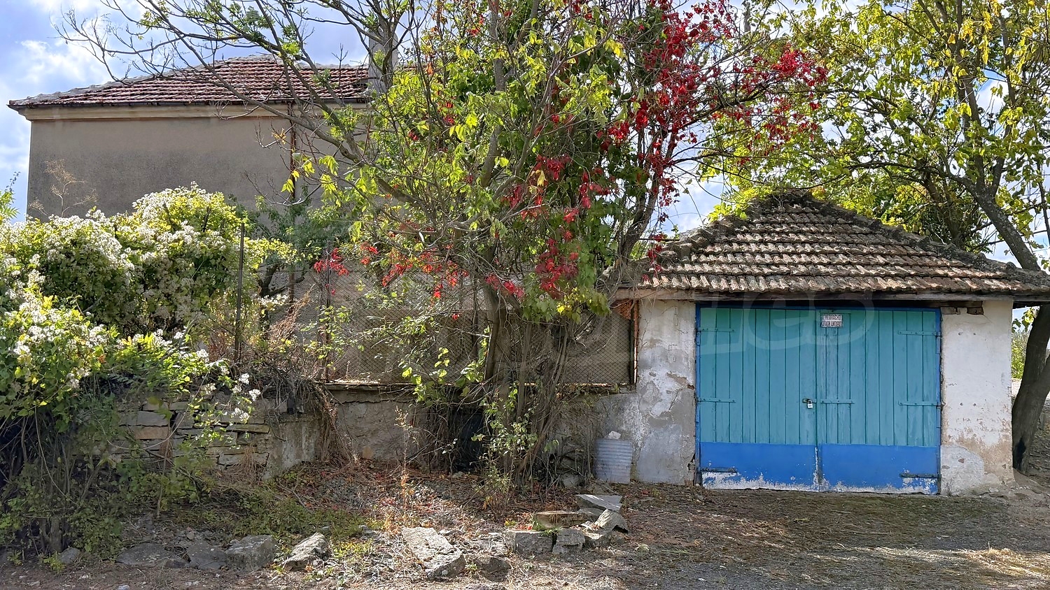 outside, facade, garden