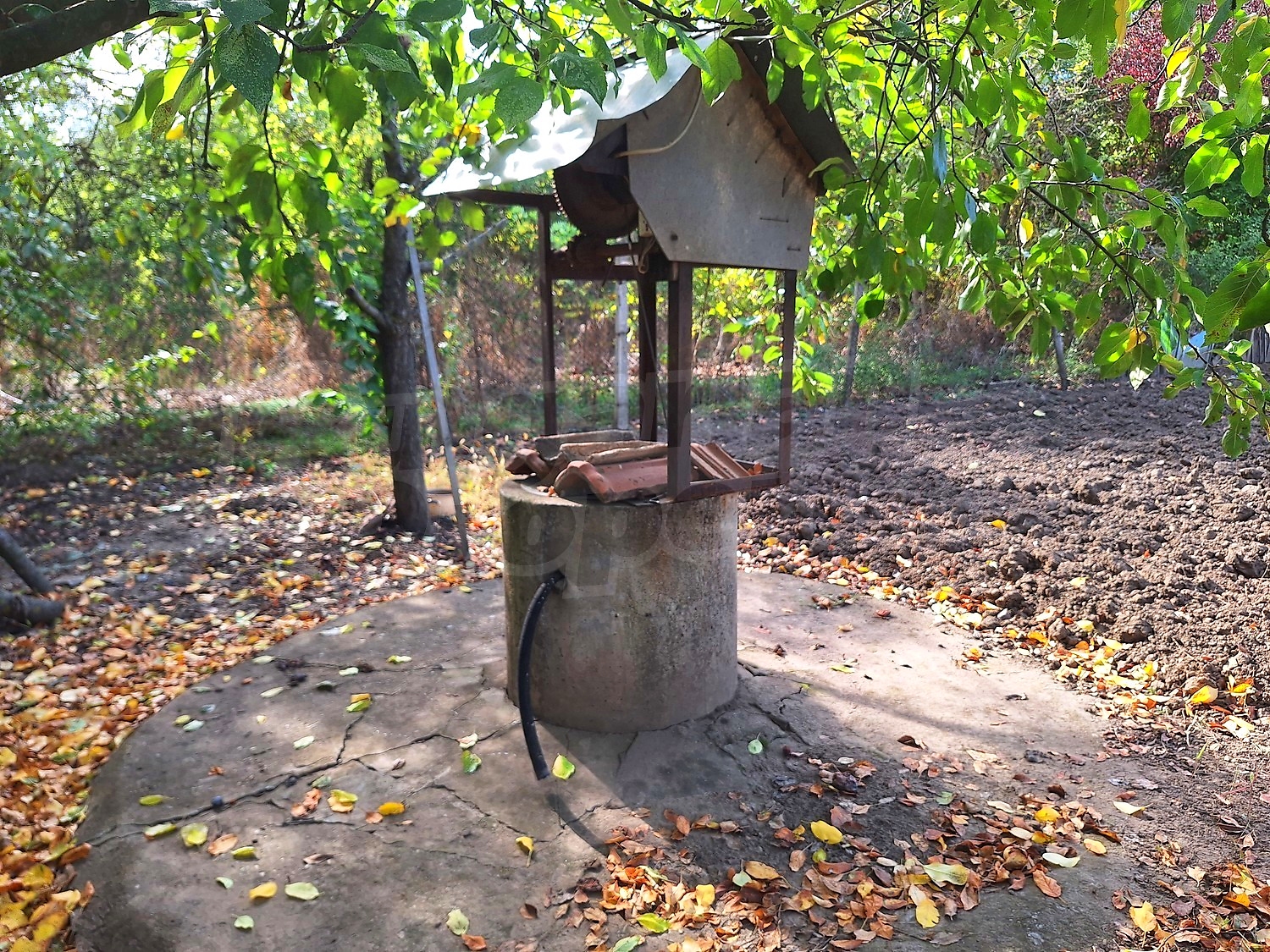 garden, outside, green area
