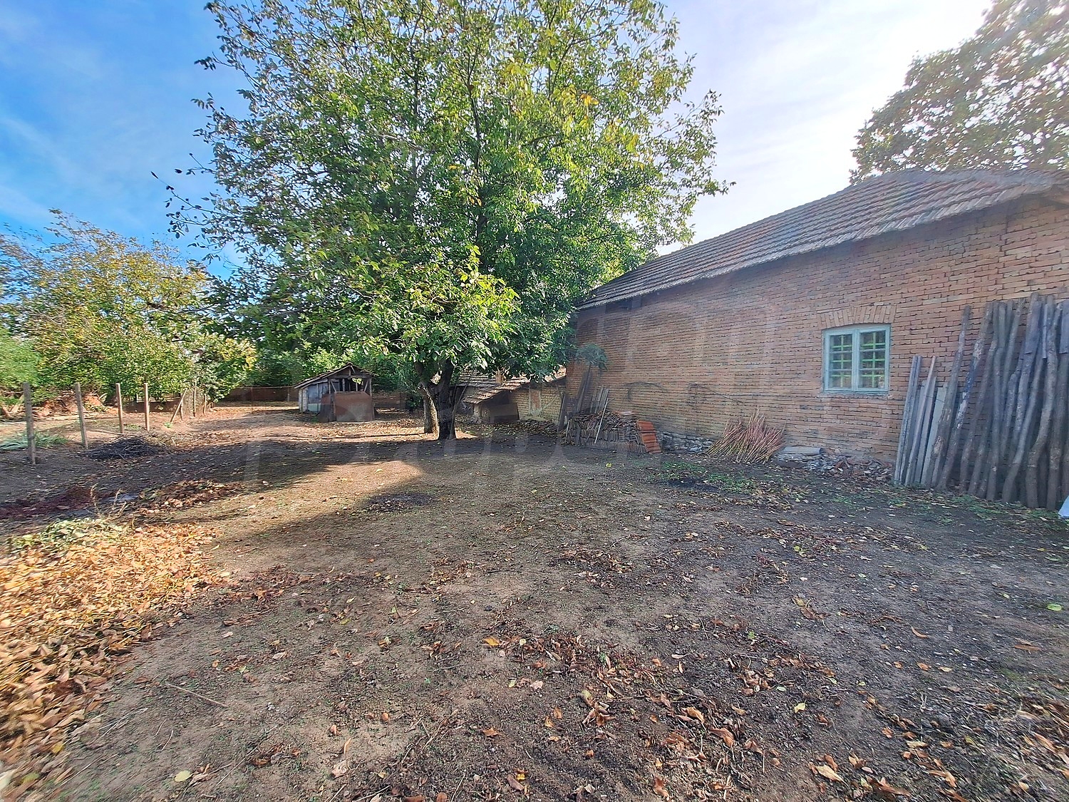 outside, garden
